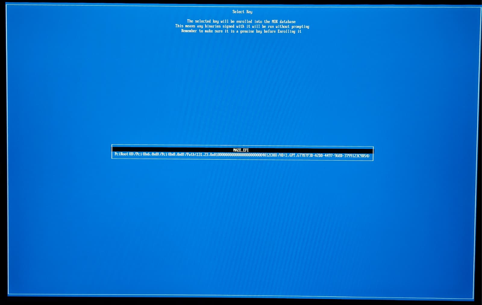 Select the EFI volume